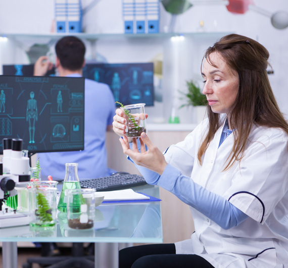 Scientist examining plant sample in laboratory